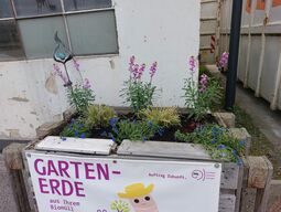Hochbeet Gartenerde
