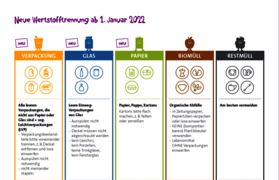 Infoblatt in 5 Spalten